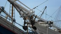 148 Makassar Schiffe im Hafen