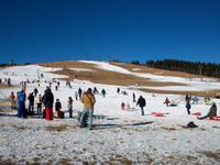 Am Feldberg
