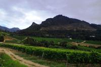 Boutique Weingut Constantia Glen 