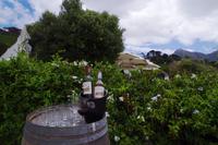 Boutique Weingut Constantia Glen - Weintasting