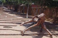 Unterwegs in Johannesburg - Constitution Hill