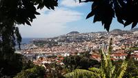 Blick auf Funchal