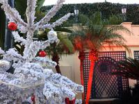 Weihnachtsdekoration in Monte Carlo