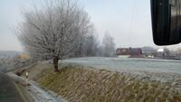 Winterlandschaft aus Bus (3)