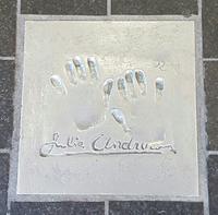 Silvester in Nizza - Perlen der Cote d' Azur (513)