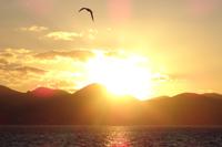 Silvester in Nizza - Perlen der Cote d' Azur (530)