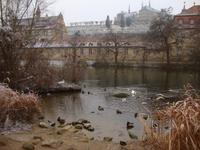 Bamberg