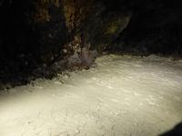 Feengrotten bei Saalfeld, sog. Butterkeller