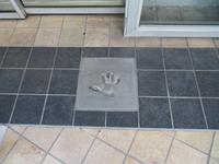 137-Cannes Film Festival Hall of Fame