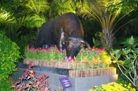 0256 Südostasien Auswahl 2017