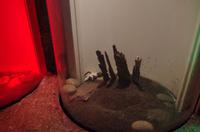 0325 Südostasien Auswahl 2017