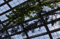 0346 Südostasien Auswahl 2017