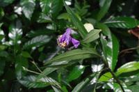 0352 Südostasien Auswahl 2017