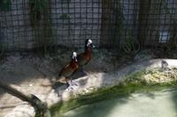 0369 Südostasien Auswahl 2017