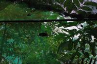 0468 Südostasien Auswahl 2017