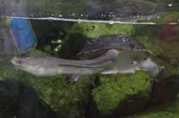 0484 Südostasien Auswahl 2017