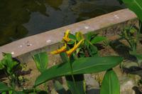 0490 Südostasien Auswahl 2017