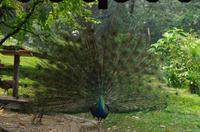 0492 Südostasien Auswahl 2017