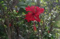 0503 Südostasien Auswahl 2017