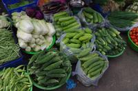 0566 Südostasien Auswahl 2017