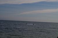 0894 Südostasien Auswahl 2017