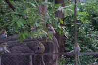 0899 Südostasien Auswahl 2017