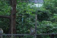 0900 Südostasien Auswahl 2017