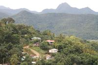 Inselrundfahrt - St.Lucia