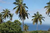 Inselrundfahrt - St.Lucia 