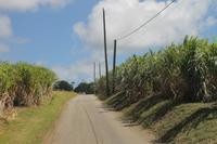 Inselrundfahrt Barbados 