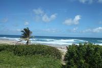 Inselrundfahrt Barbados 