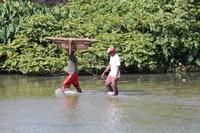 Dominica - Markt von Rosseau