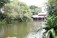 Guadeloupe - Parc National de la Guadeloupe