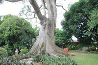 Guadeloupe - Parc National de la Guadeloupe