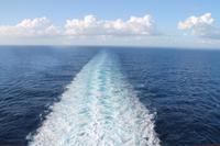 MSC Poesia