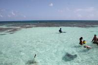 Antigua - Stachelrochen-Ausflug