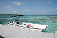 Antigua - Stachelrochen-Ausflug