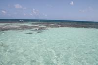 Antigua - Stachelrochen-Ausflug