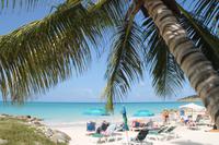 Antigua - Dickinson Beach 