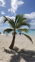Dom. Rep. - Insel Saona