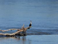 05_Nationalpark Iguazú (13)