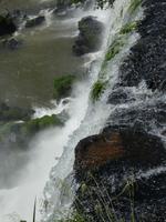 05_Nationalpark Iguazú (21)