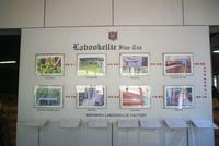 Besuch der Teefabrik Labookellie