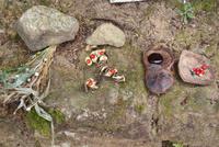 Samen und Bohnen aus denen u.a. auch schöner Schmuck hergestellt wird...