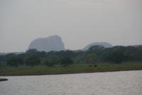 Elefantenfelsen im Yala Park
