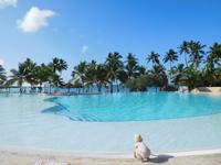 Infinity Pool im Hotel Dreams La Romana