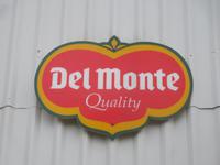 Ein Stopp auf einer der zahlreichen Bananenplantagen