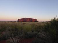 Sonnenuntergang am Ayers Rock