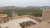 Oman - Jabrin Fort