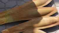 Blütenstände der männlichen Dattelpalme